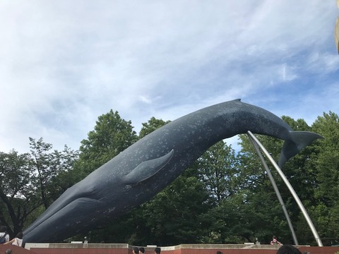 上野国立科学博物館目印はシロナガスクジラ